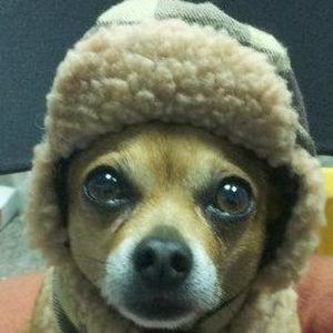 Meet your Posher, Suzanne